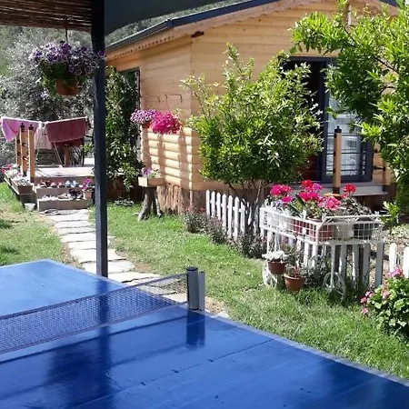 Ciftlik Gol Apart Hotel apartamentowy *